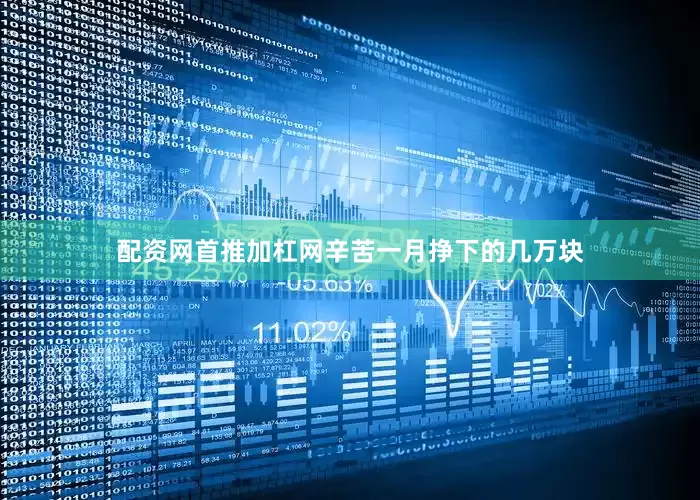 配资网首推加杠网辛苦一月挣下的几万块