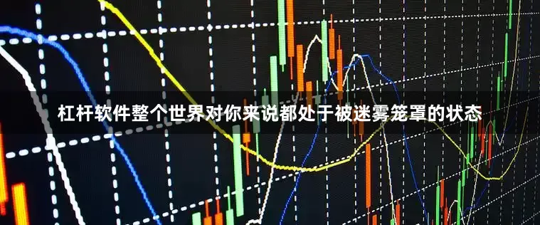 杠杆软件整个世界对你来说都处于被迷雾笼罩的状态