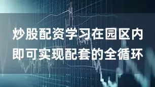炒股配资学习在园区内即可实现配套的全循环